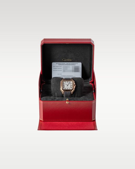 Cartier Santos De Cartier WGSA0019 Image 5